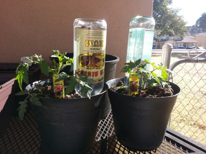 20160221_094502.jpg image