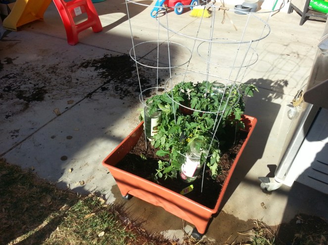 20160319_163848.jpg image